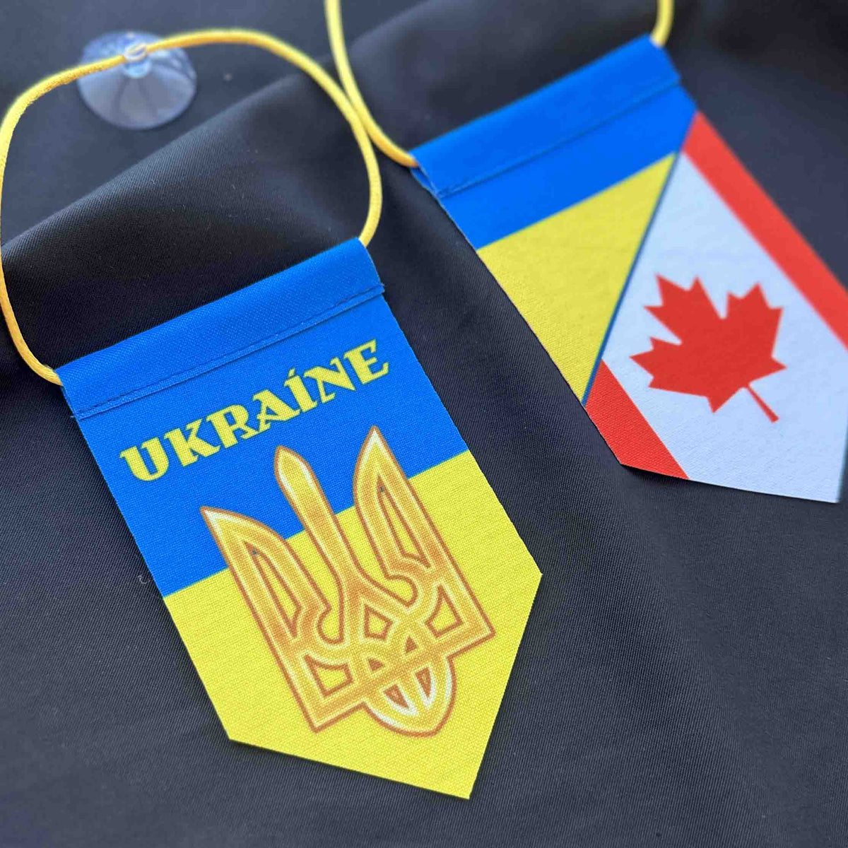 Ukrainian Pennant with Sucker Trident and Flag Ukraine Flags