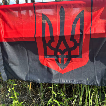 ukrainian military flags