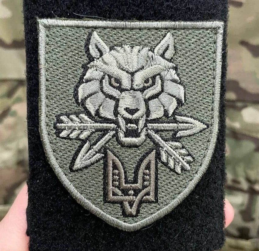 Ukrainian Army Morale