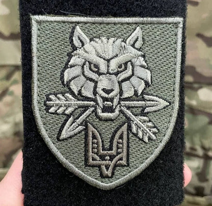 Ukrainian Army Morale
