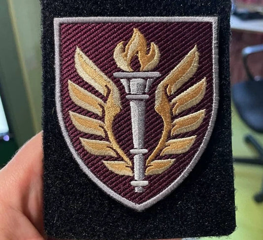 Ukrainian Army Morale Patch 199th Educational Center DSHV Tactical Badge Hook