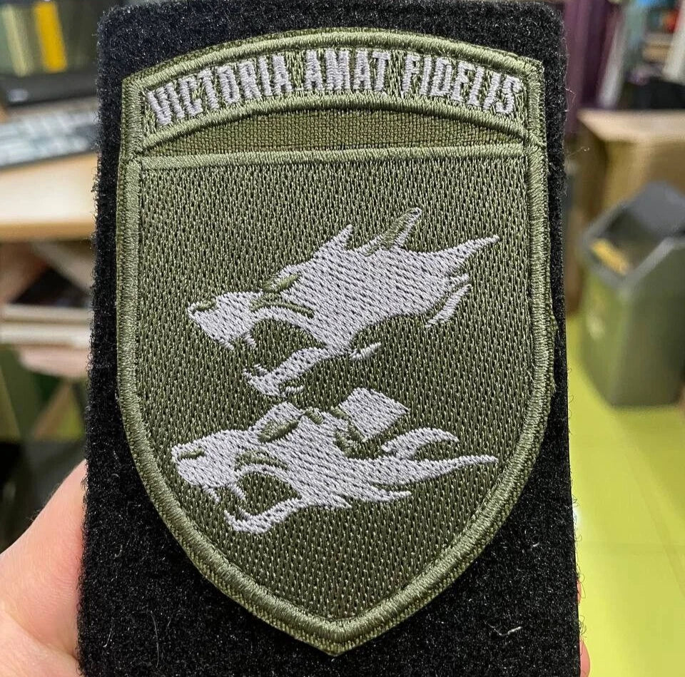 Ukrainische Armee Moral Patch 80. separate Luftlande-Sturmbrigade Abzeichen Haken